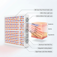Red Light Therapy Full Body Panel, 480/630/660/810/830/850/1060Nm Blue Red near Infrared Light Device with 480 Dual Chip Clinical Grade Leds, Remote Control, Timer for Face, Body, BO-2400 — How It Works